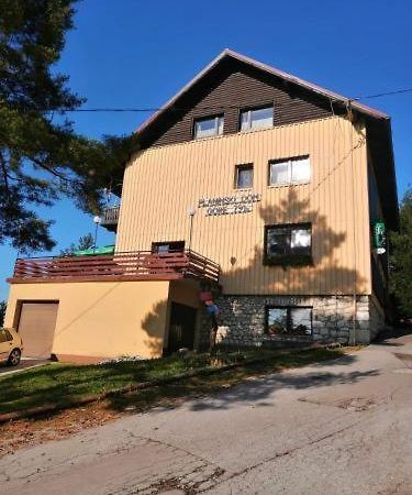 Aparthotel Planinski Dom Gore Dol pri Hrastniku Exterior foto